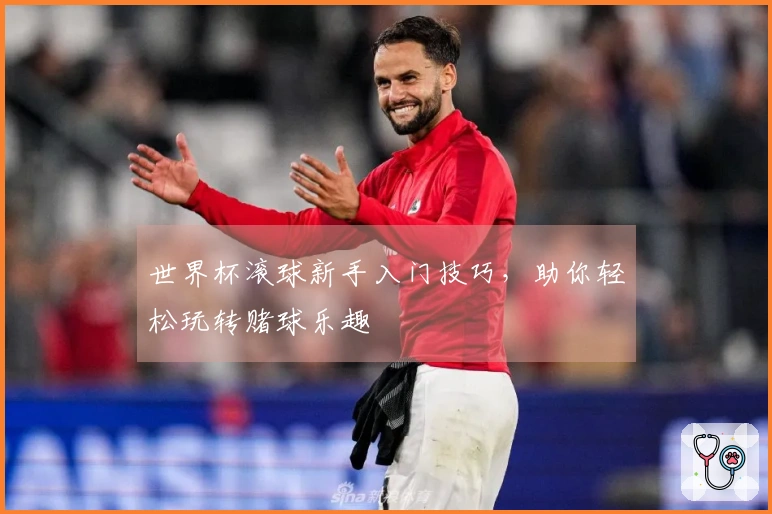 世界杯滚球新手入门技巧，助你轻松玩转赌球乐趣