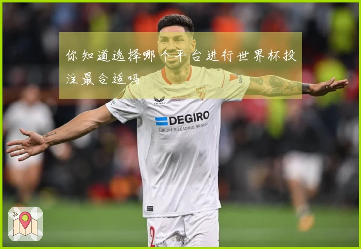 你知道选择哪个平台进行世界杯投注最合适吗