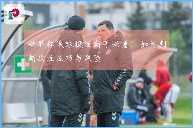 世界杯滚球投注新手必看：如何判断投注技巧与风险