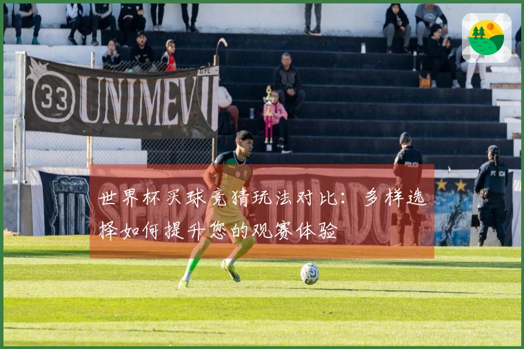 世界杯买球竞猜玩法对比：多样选择如何提升您的观赛体验