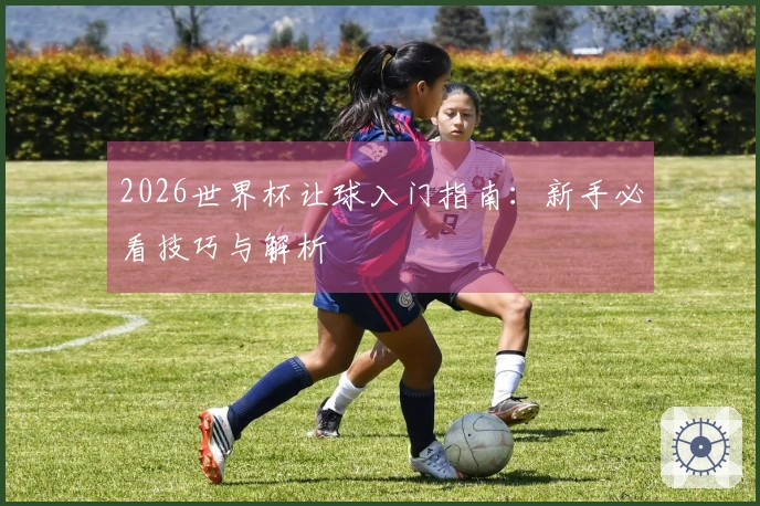 2026世界杯让球入门指南：新手必看技巧与解析