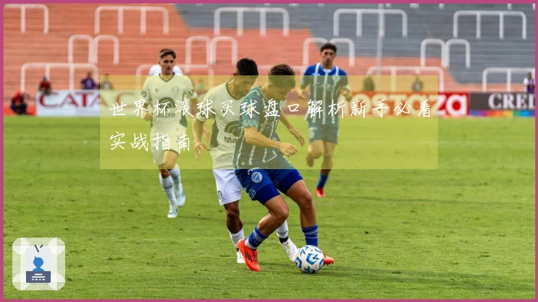 世界杯滚球买球盘口解析新手必看实战指南