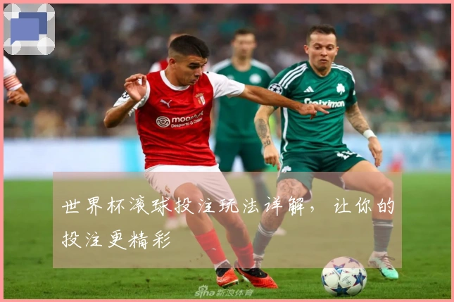 世界杯滚球投注玩法详解，让你的投注更精彩