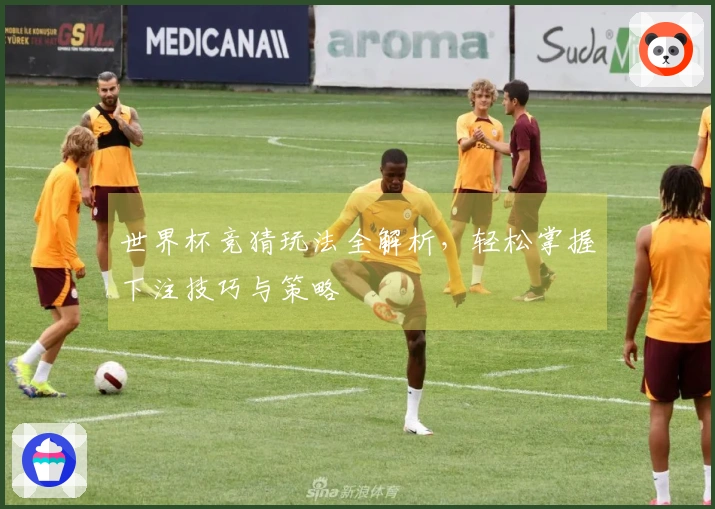 世界杯竞猜玩法全解析，轻松掌握下注技巧与策略